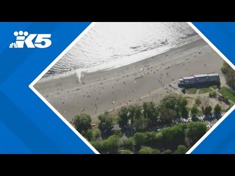 3 Seattle beaches are closed due to high bacteria levels, here's what that means for parkgoers