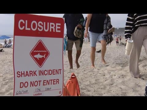 Shark bites man off California shores