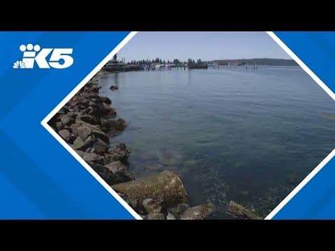 Man drowns in culvert near Tacoma's Titlow Park