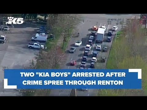 Two Kia Boys arrested after crime spree