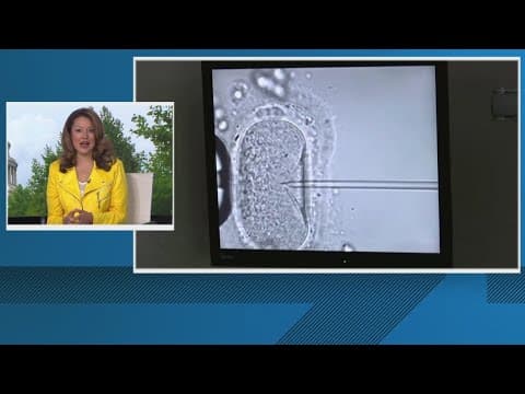 Senate Republicans block vote on IVF bill