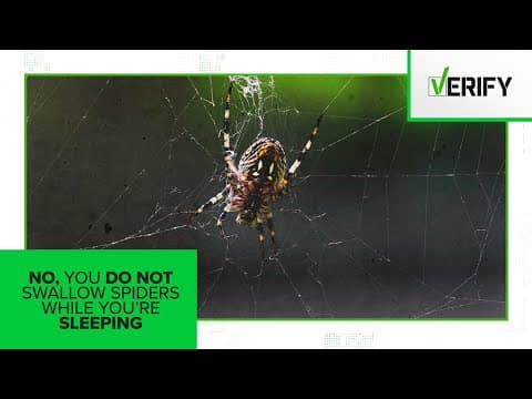 No, you do not regularly swallow spiders while you're sleeping
