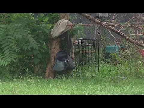 Columbus Humane responding to heat-related animal abandonment calls