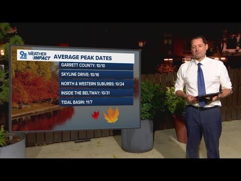 Checking in on fall colors in the DMV