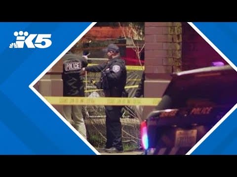 Police chief declares south Seattle bar and restaurant a nuisance property after string of violence