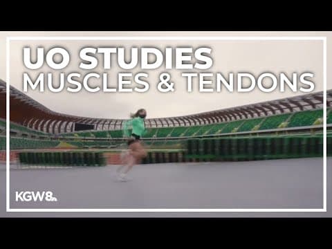 University of Oregon research to figure out why female athletes are more susceptible to ACL injuries