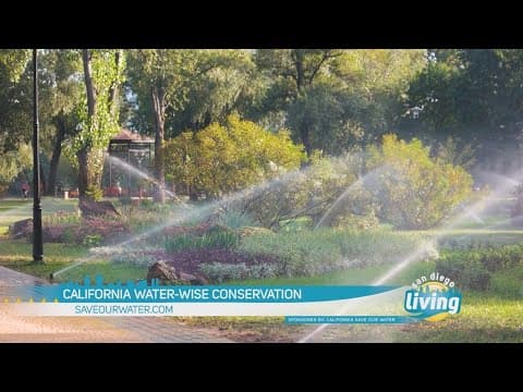 ‘Tis the Season for Giving the Gift of Conservation