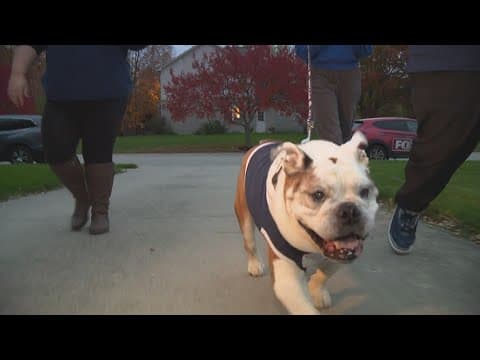 Butler Blue surprises Zionsville High School senior