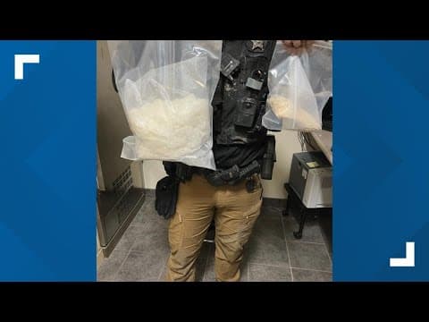 Drugs, stolen gun found after attempted I-69 traffic stop leads to chase through Fishers