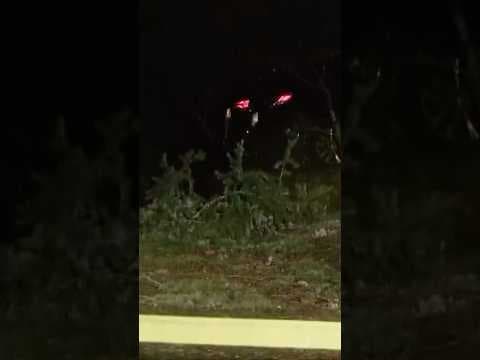 Bomb cyclone storm turns deadly in western Washington