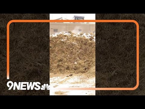 What happens to all the animal waste at Denver’s Stock Show?