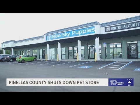 Clearwater pet store banned from selling animals after multiple county code violations