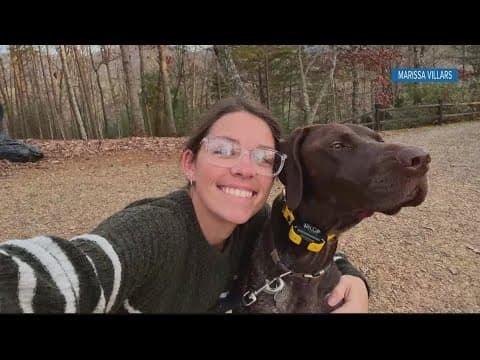 Pythiosis, or swamp cancer, affecting dogs in Sarasota and Manatee counties