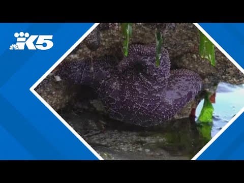 Some of the lowest tides in a decade will happen today