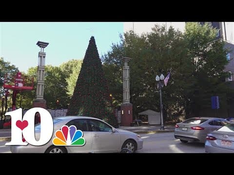 Where to recycle trees and other items after the holidays end