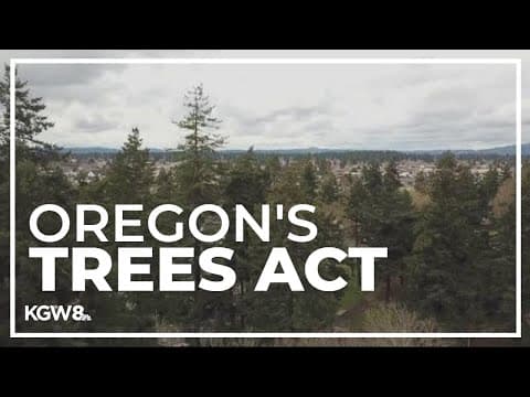 Oregon bill seeks to boost state's tree canopy in an effort to fight climate change