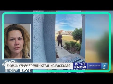 Polk Co. 'porch pirate' accused of stealing Amazon packages 2 weeks before Christmas
