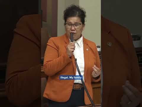 MN DFL Rep. says she and her parents illegally came to the US, later clarifies that they're citizens