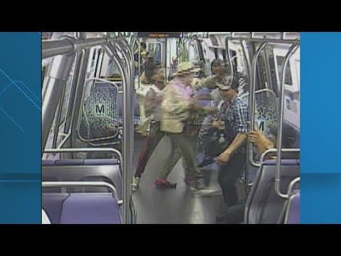 VIDEO: DC investigator charged with assaulting man dancing on Metro