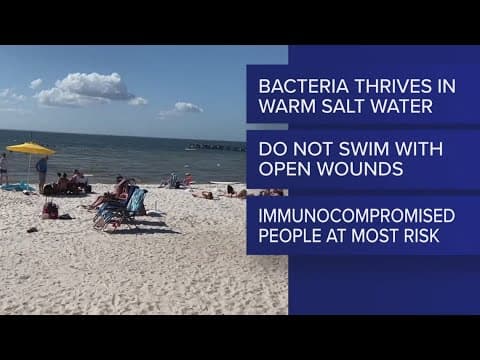 Number of flesh-eating bacteria cases rise in Florida