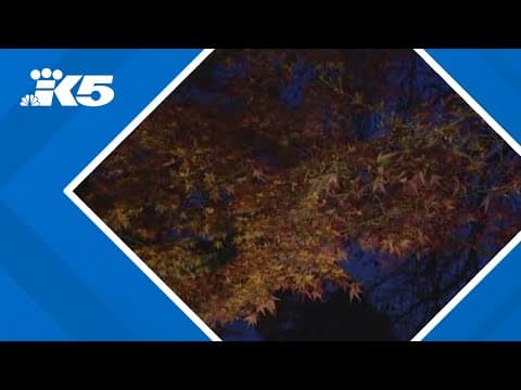 Team coverage: Another fall storm rolls into western Washington