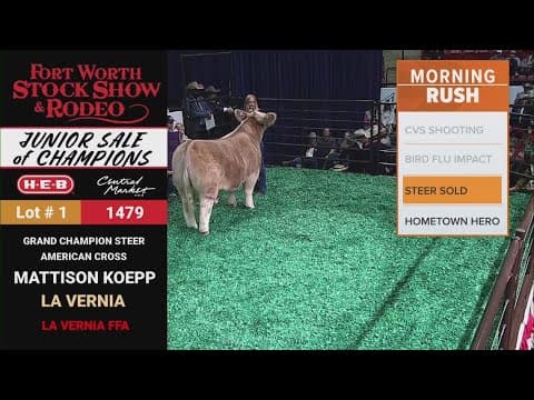 Fort Worth Stock Show & Rodeo grand champion steer 'Alley Cat' sells for $375K