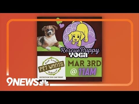 Rescue Puppy Yoga events planned across the Denver metro