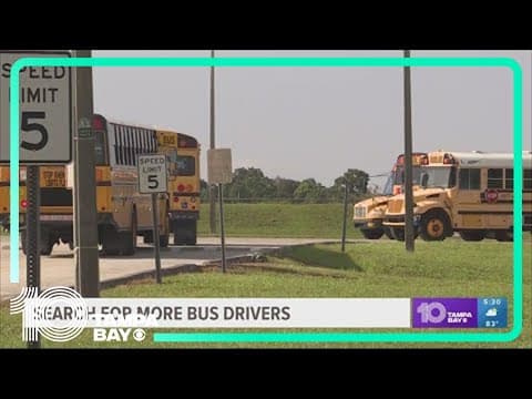 Hillsborough Schools looking to bring on more than 100 bus drivers