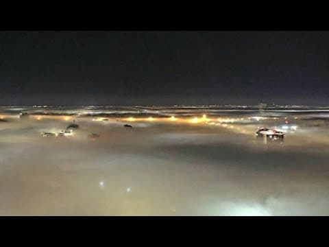 Timelapse video shows fog blanket downtown St. Petersburg