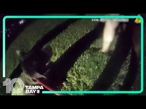 Clearwater Police officer rescues elderly dog that fell into canal