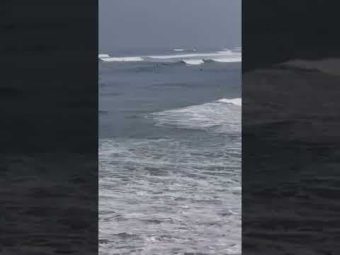 CBS 8 drone footage captures huge waves, high surf in San Diego. #storm #beach #ocean #surf #ocean