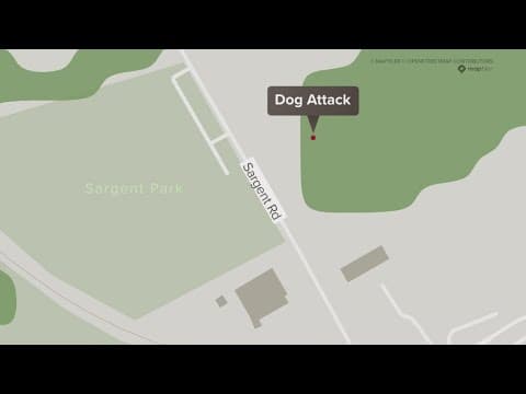 Dallas Police officer shoots at pack of aggressive dogs, killing 1, officials say