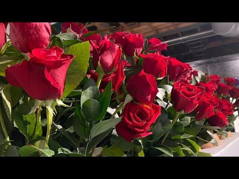 Thinking of getting flowers for Valentine's Day? Be prepared to pay more