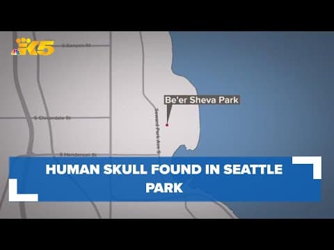 Human skull found in Rainier Beach park