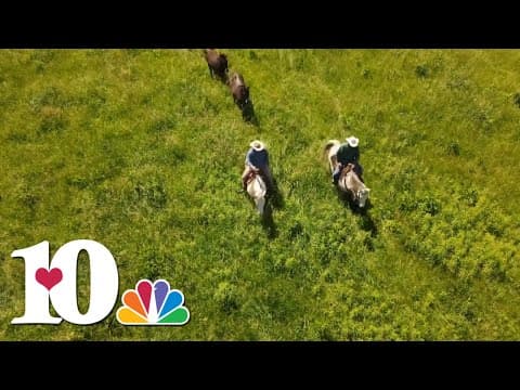 Service & Sacrifice: Combat medic finds healing on horseback