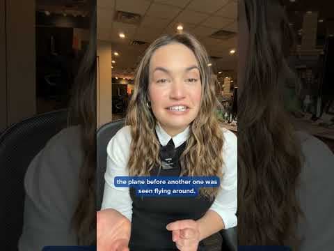 It's a bird! It's a plane! It's.... a bird in a plane?