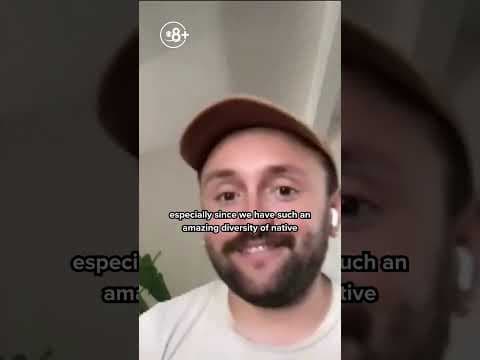 Are honeybees hogging all the pollen?