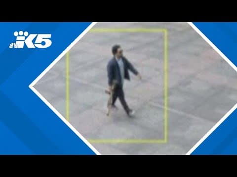 Gunman kills four people at NFL headquarters building in NYC