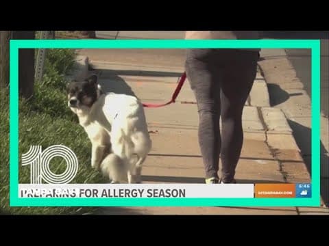 How to prepare for allergy season in Florida