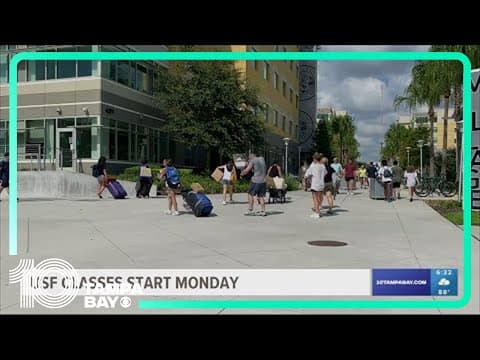 USF expects to be at full capacity this fall semester as students prepare to move in