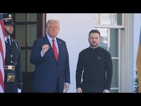 Donald Trump greets Ukrainian President Zelensky at the White House