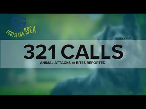 Increase in local incidents with dangerous dogs