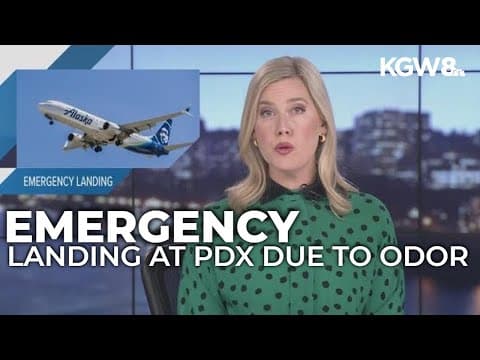 Alaska Airlines flight returns to Portland after odor detected in cabin