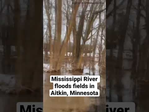 #MississippiRiver floods fields in Aitkin, #Minnesota. #shorts #kare11 #flooding