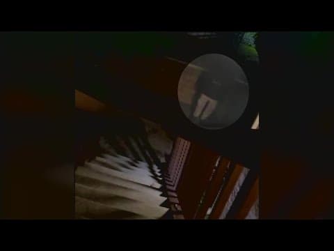 Alpine mother says man was caught peeping in her 6-year-old son's window multiple times