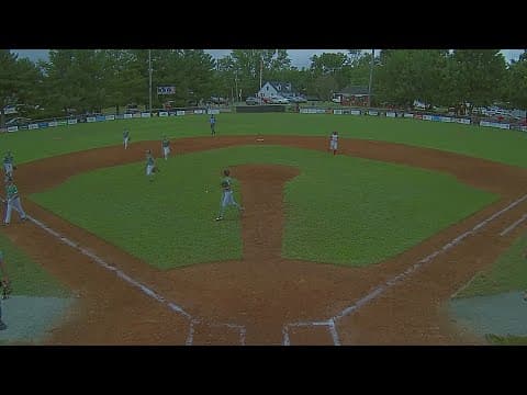 Loudoun South Little League heads to state
