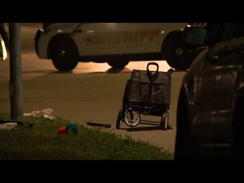 HCSO: Speeding appears to be factor in crash that injured 2 toddlers, woman crossing the street