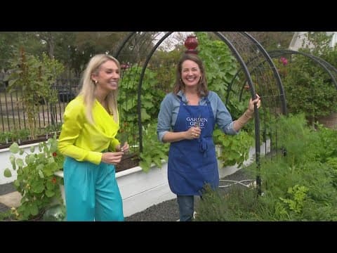 Have you started prepare fruit trees and vegetables you grow before the freeze