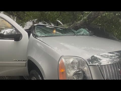 Houston woman who rescued man from truck crushed by tree is getting new home