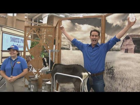 Goat milking and so much more at the San Diego County Fair